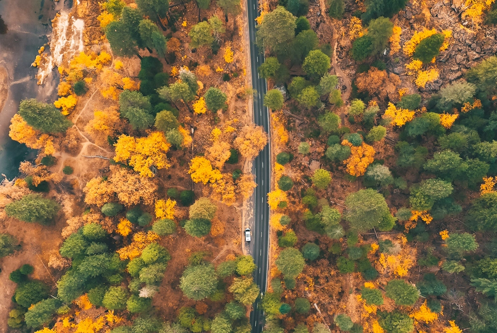 Government Lifecycle