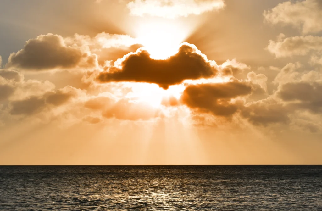 cloud backup and recovery